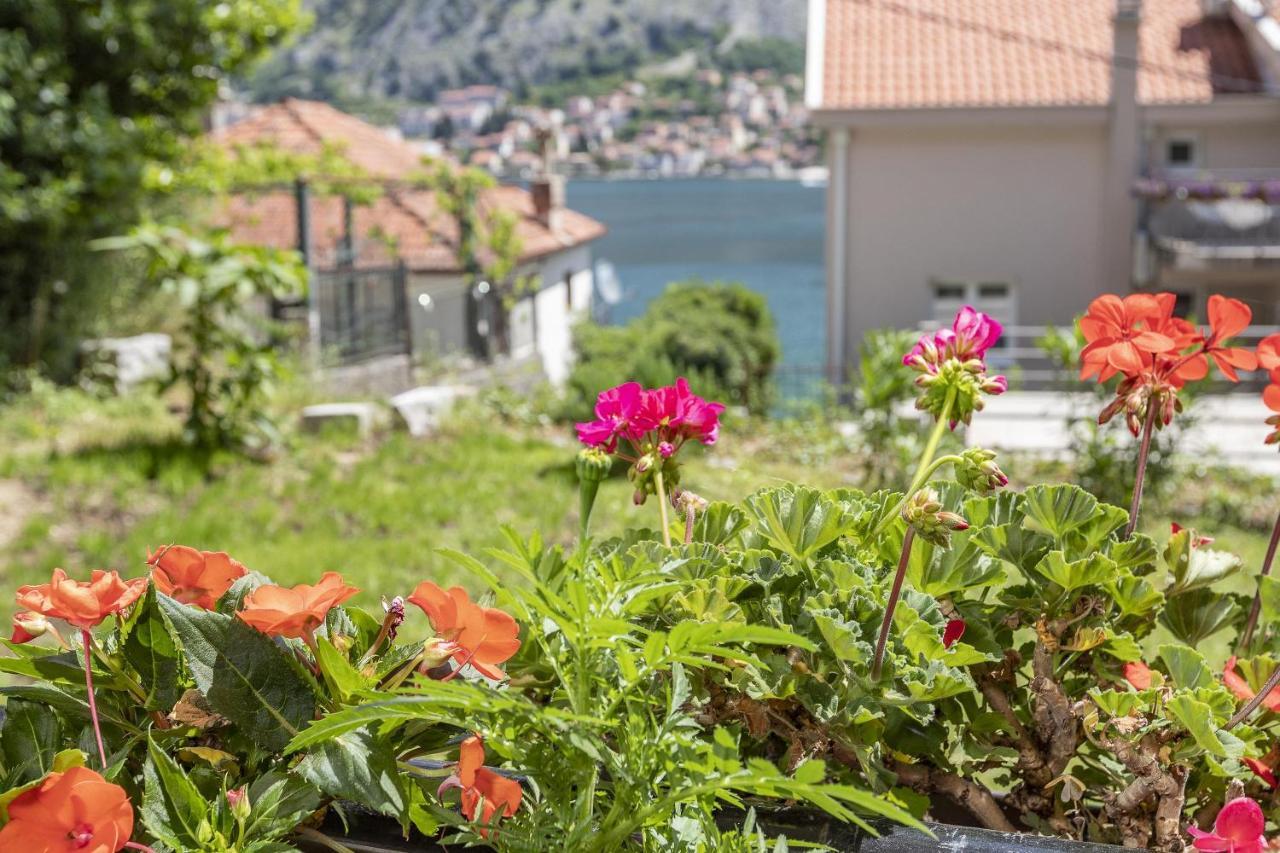 Muo Sea Front Apartments Котор Екстер'єр фото